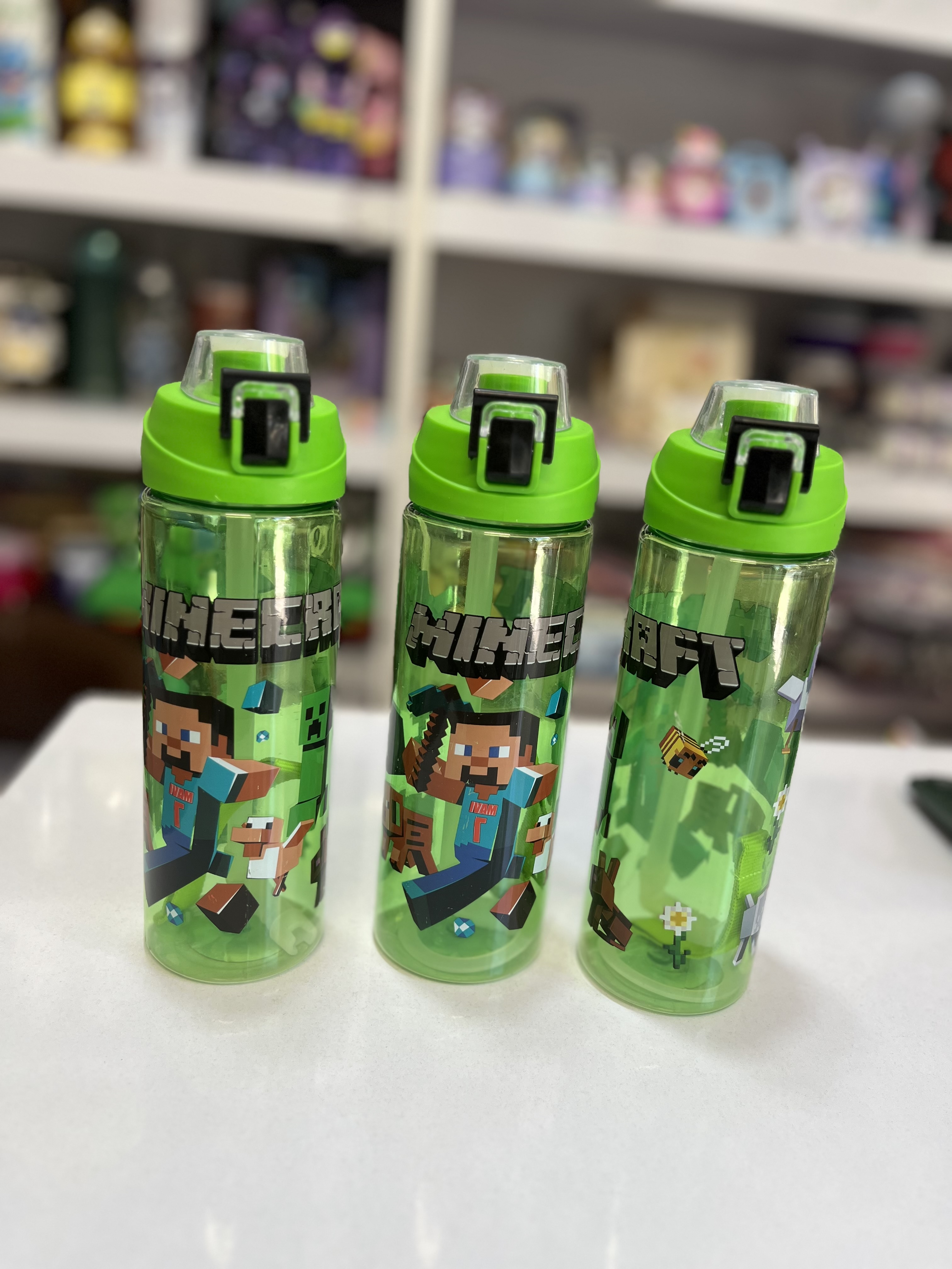 قمقمه ماینکرافت